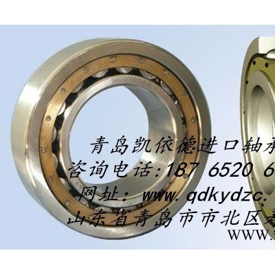 南安SKF进口轴承6007ZZ深沟球轴承轴承代理图1