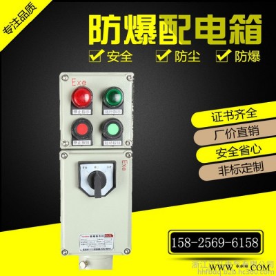 定做防爆配电箱照明动力开关电控箱仪表检修箱防暴柜控制接线箱图3