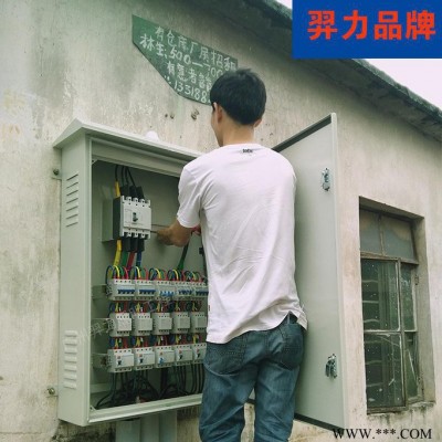 路灯配电柜-智能路灯控制柜-路灯三摇控制配电柜图1