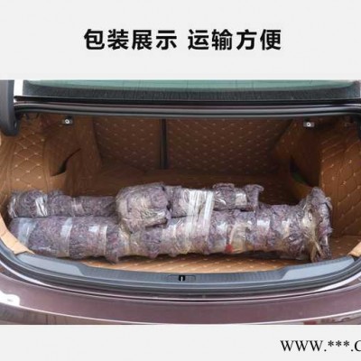 鹏路通SK-0503W-TR 监控杆 组合立杆 一体杆 路灯杆 监控支架 太阳能支架 防水箱 配电箱 太阳能发电系统图4
