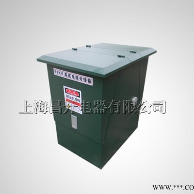 DFW-12KV户外电缆分接箱DFW分接箱配电箱图3