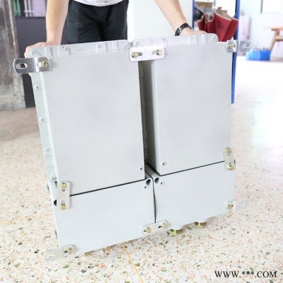 非标定做IIC级不锈钢防爆控制箱 脉冲控制仪防爆仪表箱锅炉本体防爆控制三防配电箱箱