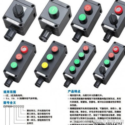 供应致锦防爆电器系列平台作业 厂用ZXF8030系列防爆防腐主令控制器（IIC）