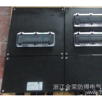 BXM(D)8050防爆防腐照明动力配电箱（IIC）图3