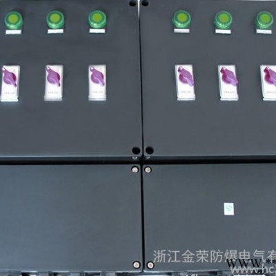 BXM(D)8050防爆防腐照明动力配电箱（IIC）图2
