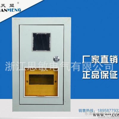 PZ40-1户电表箱配电箱单相1户铁质箱家用明装暗装金属计量图2