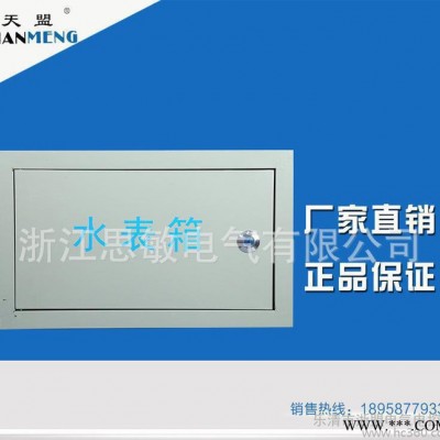 水表箱户住宅楼道自来水暗装明装室外家用铁质不锈钢水表箱配电箱图2