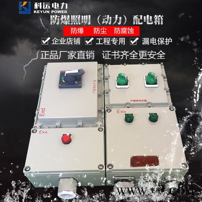 BXDM-T3防爆照明（动力）配电箱控制柜防爆电箱壁挂式防爆控制箱图3