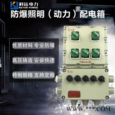 BXDM-T3防爆照明（动力）配电箱控制柜防爆电箱壁挂式防爆控制箱图1