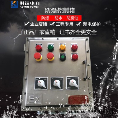 BXDM-T3防爆照明（动力）配电箱控制柜防爆电箱壁挂式防爆控制箱图2