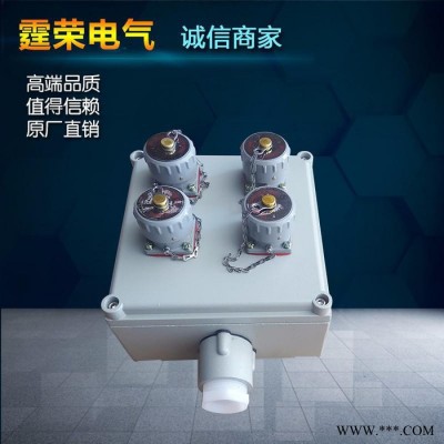 霆荣**BXM(D)防爆配电箱防爆断路器防爆磁力启动器防爆接线箱防爆电脑防爆防腐立式操作柱防爆防腐控制箱防爆插销箱