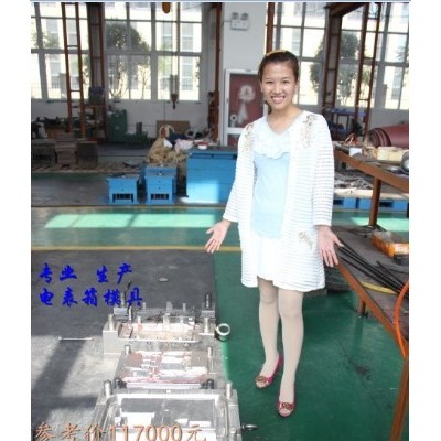 那有变压器防护罩塑料模具 配电箱注塑模具 7表电表箱塑料模具报价图2