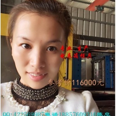 那有变压器防护罩塑料模具 配电箱注塑模具 7表电表箱塑料模具报价