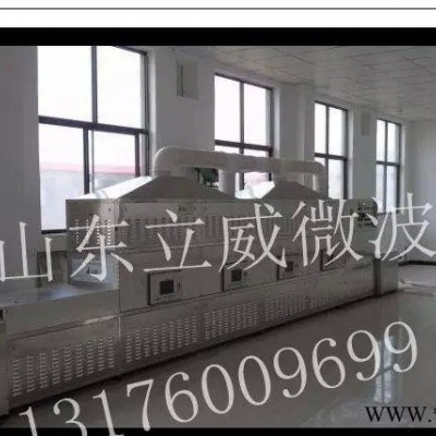 直销泡沫陶瓷微波烘干定型设备图3