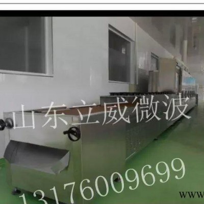 直销泡沫陶瓷微波烘干定型设备图2