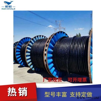 铠装电缆 yjv电缆 五芯电缆线价格图2