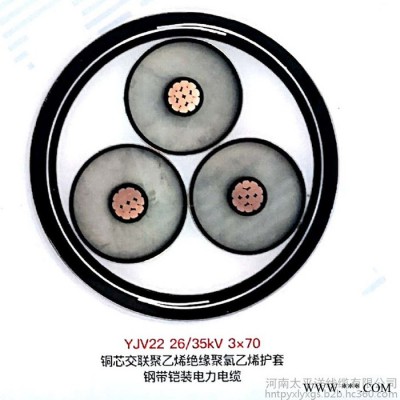 高压电缆厂家 铠装电缆价格 阻燃电缆图5