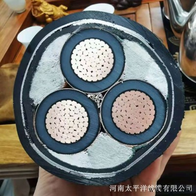 阻燃铠装电缆 铜芯铠装电缆 高低压电缆价格图4
