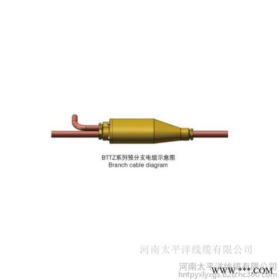 预分支电缆 电力电缆预分支 电线电缆定制批发图3