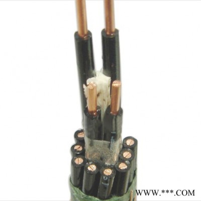 控制电缆  ZB-KYJV32  计算机电缆 补偿电缆 扁电缆图1