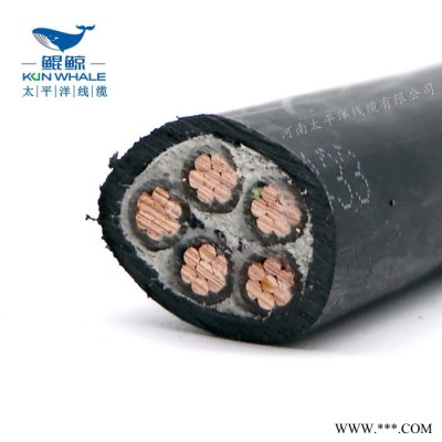阻燃耐火电缆 电线电缆批发 电缆生产厂家现货图3