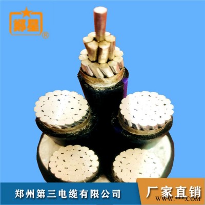 河南电力电缆 三厂电缆供应 阻燃电缆价格 电线电缆供应商图6