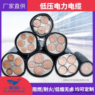 阻燃电缆 无卤低烟阻燃电缆 耐火阻燃电缆图5