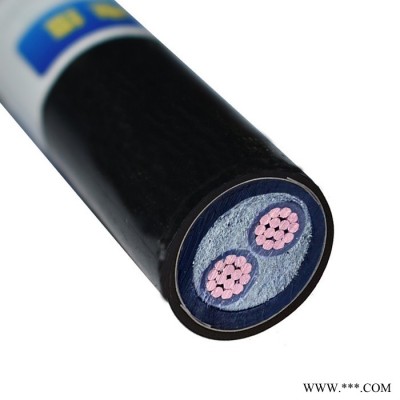 金环宇电缆 耐火铠装电缆ZAN-YJV22-2X400平方a级阻燃yjv22电缆