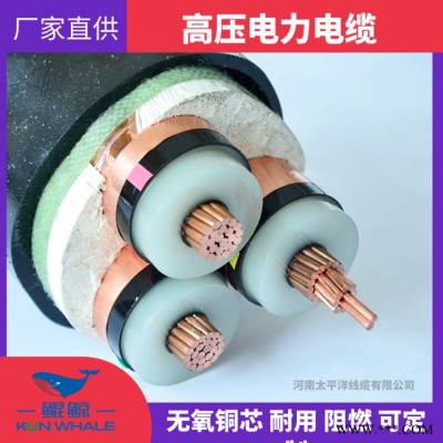 阻燃电缆 阻燃电力电缆 阻燃电缆厂家图5