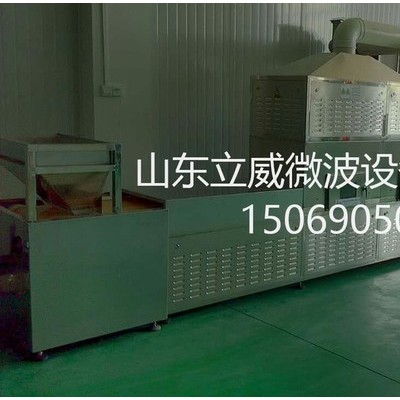 立威LW-50KWCGA 微波蜂窝陶瓷干燥定型设备图1