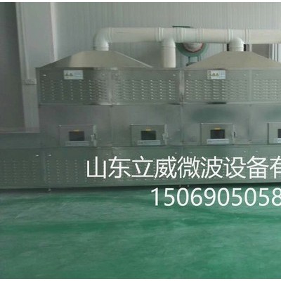 立威LW-50KWCGA 微波蜂窝陶瓷干燥定型设备图4