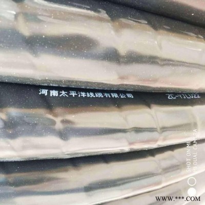 低压电力电缆  yjv电力电缆 电力电缆价格图3