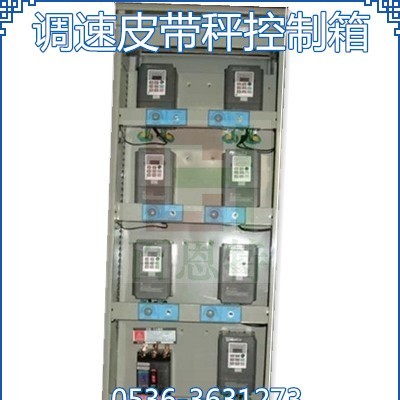 调速皮带秤控制箱 调速给料机计量控制柜 皮带秤控制箱 计量仪
