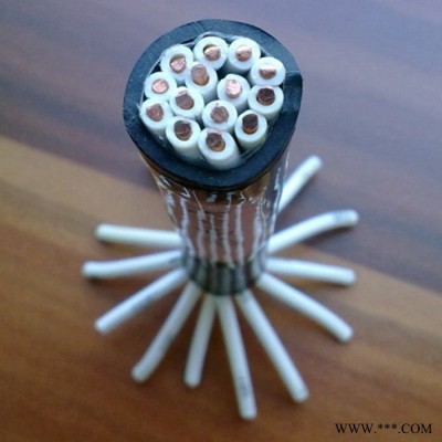 控制电缆 阻燃控制电缆 控制电缆价格图5