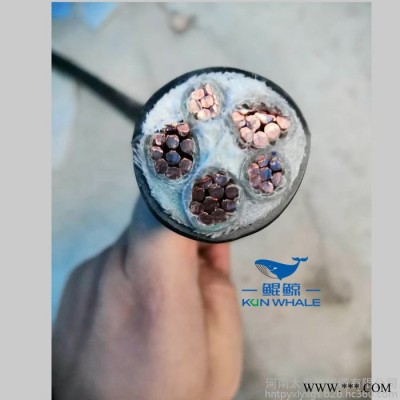 阻燃耐火电缆 阻燃电线电缆 铜芯耐火电缆图2