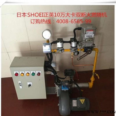 正英燃烧机DCM-10/双段火燃气燃烧机/固化烘干炉燃烧机图2