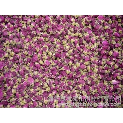 腾龙   鲜花类烘干机    鲜花类烘干机    鲜花类烘干设备    鲜花类烘干房    鲜花类烘干窑   鲜类烘干炉