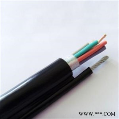 电动葫芦手柄电缆  电动葫芦手柄控制电缆  控制电缆  耐高温控制电缆  绝缘控制电缆图5