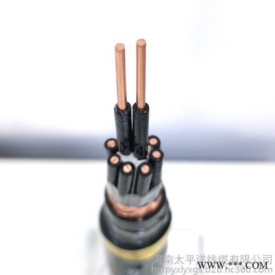 阻燃屏蔽控制电缆 kvvp控制电缆图4