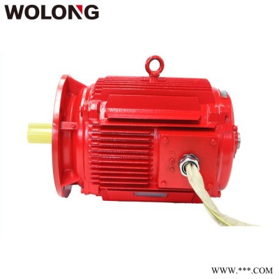WOLONG/卧龙 YDT系列 变极多速三相异步电动机 地铁隧道风机电动机 电动工具用电动机图2