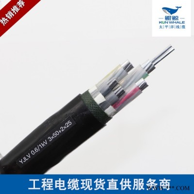 铝芯电力电缆 铠装电缆 yjlv22阻燃电力电缆易敷设图3