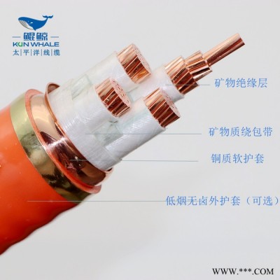 yttw柔性防火电缆 矿物绝缘电缆价格 防火电缆报价图5