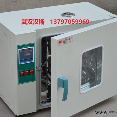B小型烘干炉，实验室小型烘干炉，工业小型烘干炉，小型烘干炉