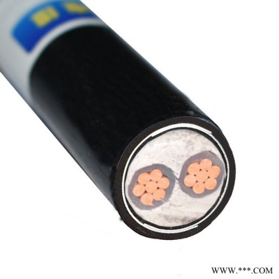 金环宇电缆 yjv22阻燃a类电力电缆ZAN-YJV22-2X300耐火铠装电缆图2