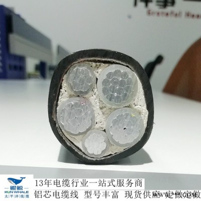 铝芯电缆批发 电缆厂家直发国标铝芯电缆 工程用铝芯电缆图3