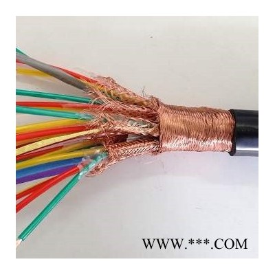 计算机电缆 DJVPVP 电缆电线 补偿电缆 TICW/06-2009图1