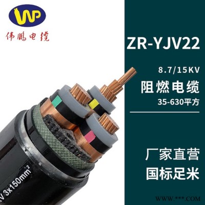 伟鹏  矿用电缆 矿用阻燃电缆  聚乙烯电缆    厂家供应图2