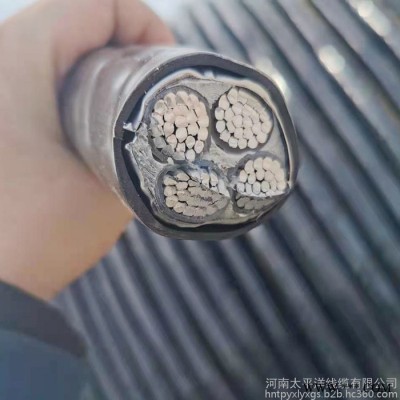 工程用铠装电缆 埋地电缆图3