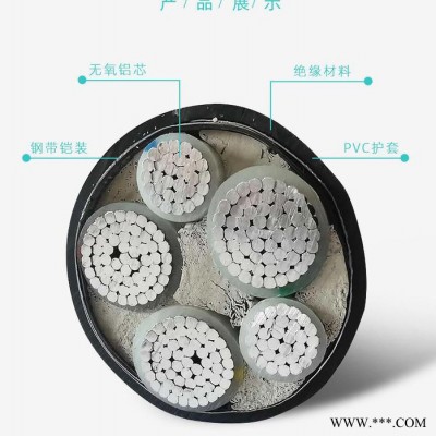 工程用铠装电缆 埋地电缆图2