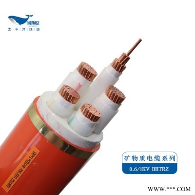 防火电缆厂家BTTZ矿物质防火电缆价格铜芯电力电缆图2